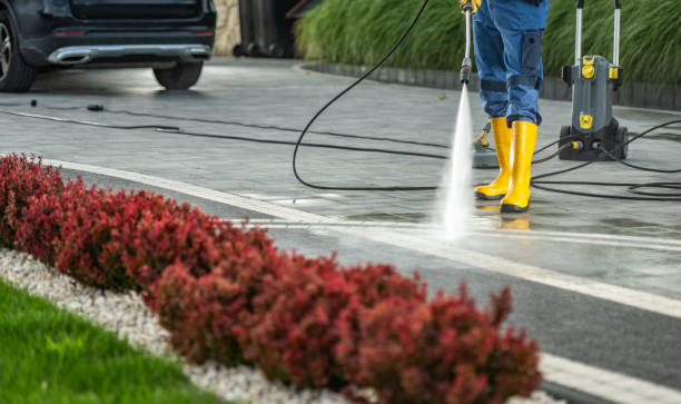 Best Roof Pressure Washing  in Palm Shores, FL