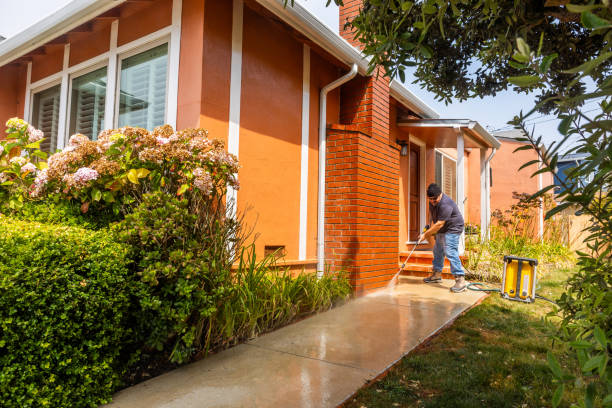 Best House Pressure Washing  in Palm Shores, FL
