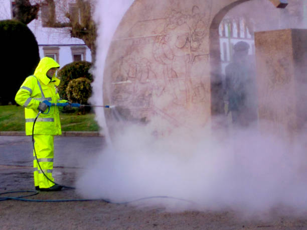 Best Local Pressure Washing Services  in Palm Shores, FL