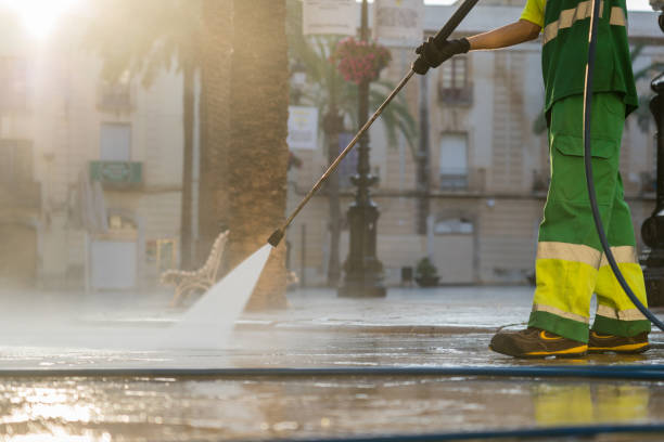 Reliable Palm Shores, FL Pressure Washing Solutions