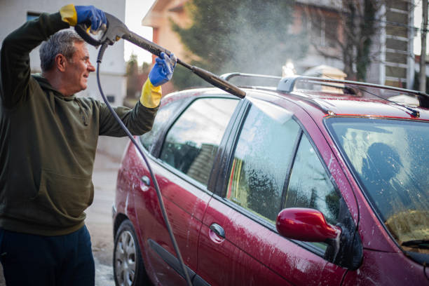 Best Roof Pressure Washing  in Palm Shores, FL
