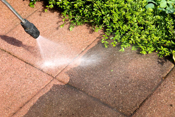 Fence Pressure Washing in Palm Shores, FL