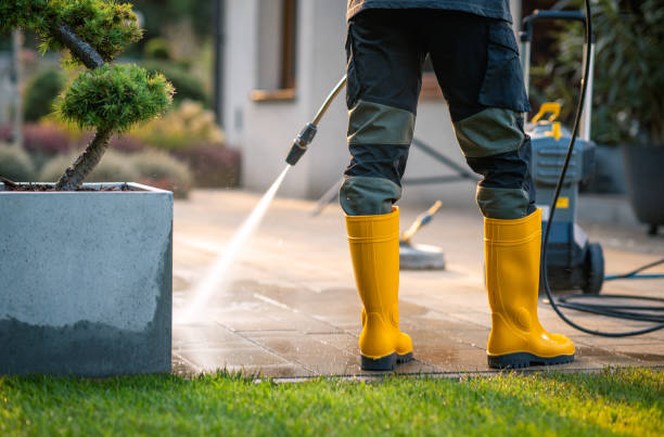 Best Pressure Washing Company Near Me  in Palm Shores, FL